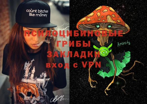дмт Осинники
