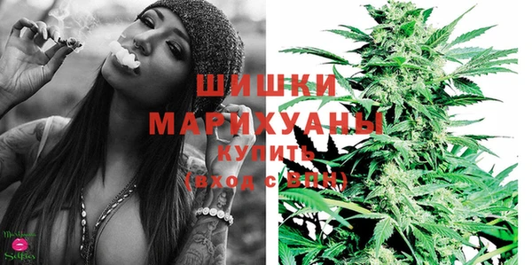 дмт Осинники