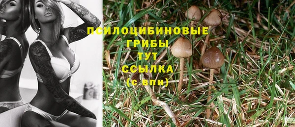 МДПВ Нягань